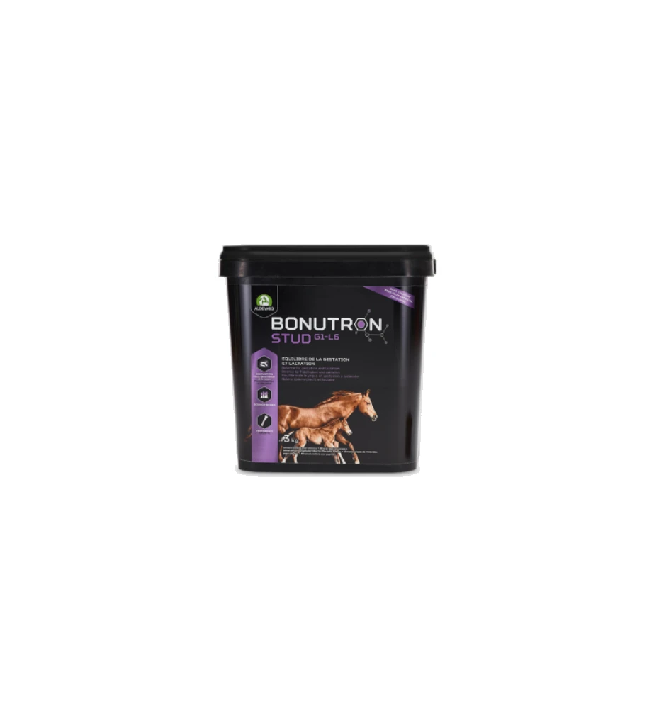 Audevard Bonutron Stud G1-L6 3 Audevard Bonutron Stud G1-L6