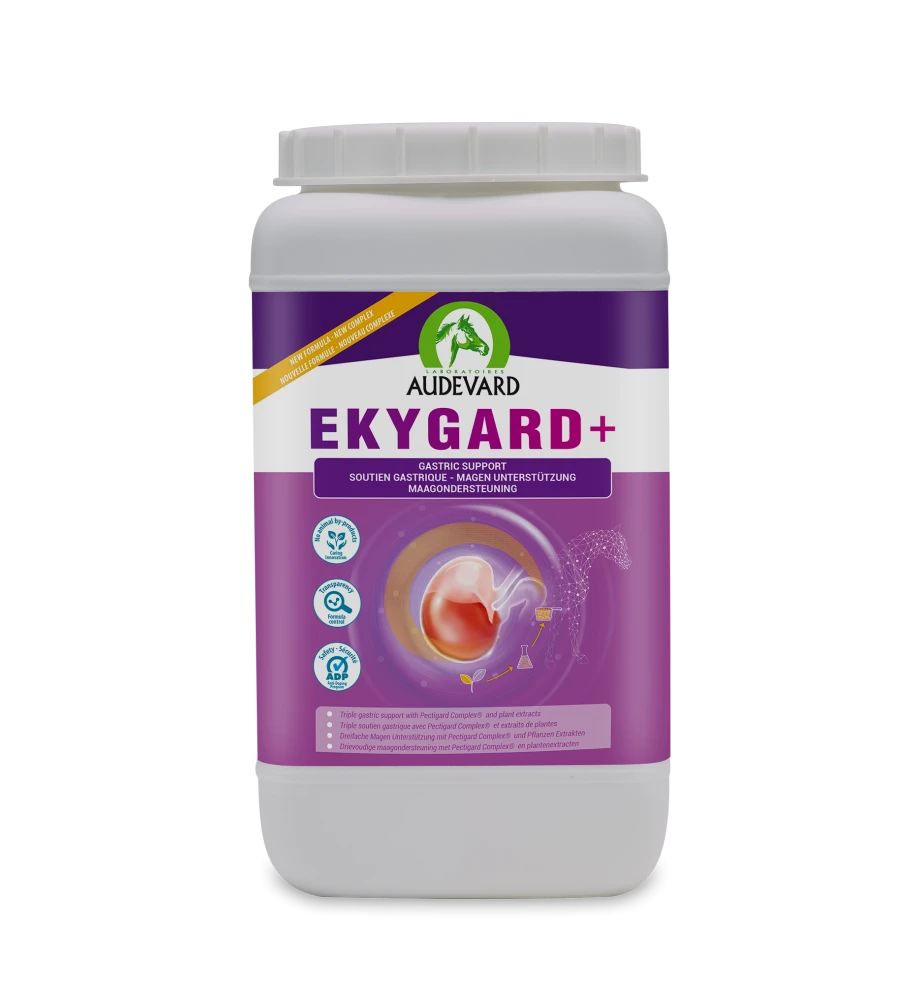 Audevard Ekygard + 3 Audevard Ekygard +