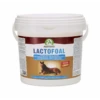 Audevard Lactofoal -Care Verkoop audevard lactofoal