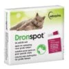Vetoquinol Dronspot Grote Kat 96 Mg / 24 Mg - 5 T/m 8 Kg - 2 Pipetten 1 Vetoquinol Dronspot Grote Kat 96 Mg / 24 Mg - 5 T/m 8 Kg - 2 Pipetten -Care Verkoop dronspot grote kat 96 mg 24 mg 5 tm 8 kg 2 pipetten