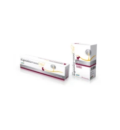 Epato Plus Pasta - 2 X 15 Ml -Care Verkoop epato plus pasta 2 x 15 ml 1