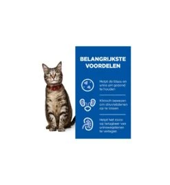 Hill's PD C/D Multicare Urinary Care Stoofpotje Met Kip & Groente - 24 X 82 Gram -Care Verkoop hill s pd cd multicare urinary care stoofpotje met kip groente 24 x 82 gram 3