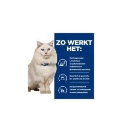 Hill's PD C/D Urinary Care Stress Stoofpotje Met Kip & Groente - 24 X 82 Gram 11 Hill's PD C/D Urinary Care Stress Stoofpotje Met Kip & Groente - 24 X 82 Gram -Care Verkoop hill s pd cd urinary stress urinary care stoofpotje met kip groente 24 x 82 gram 3