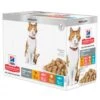 Hill's SP Adult Sterilised Cat Multipack Kip / Zalm / Kalkoen / Forel - 4 X 12 X 85 Gram -Care Verkoop hill s sp adult sterilised cat multipack kip zalm kalkoen forel 4 x 12 x 85 gram
