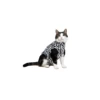 Medical Pet Shirt (Kat / Zebraprint) -Care Verkoop medical pet shirt kat zebraprint