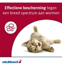 Milbemax Kleine Kat / Kitten -Care Verkoop milbemax kleine kat kitten 1