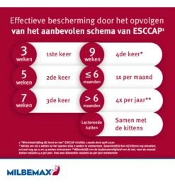 Milbemax Kleine Kat / Kitten -Care Verkoop milbemax kleine kat kitten 2