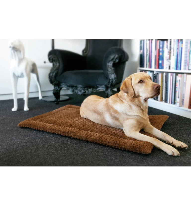 Care Verkoop -Care Verkoop petlando deken daisy bruin 1 768x832 1