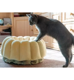 Petlando Ligmand Kat Vienna -Care Verkoop petlando ligmand kat vienna 1 2