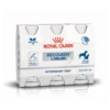 Royal Canin Recovery Liquid - 3 X 200 Ml 2 Royal Canin Recovery Liquid - 3 X 200 Ml -Care Verkoop royal canin recovery liquid 3 x 200 ml
