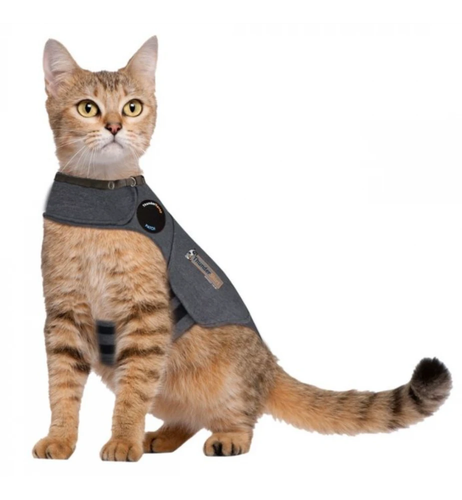 Thundershirt Kat 3 Thundershirt Kat